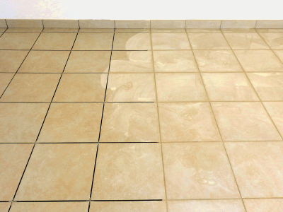 Cost of Grout Cleaning Services in Wise County